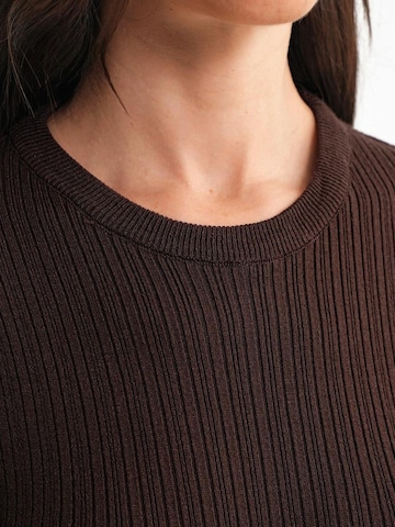 MixRay Sweater in Brown