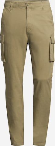 AÉROPOSTALE Tapered Cargo Pants in Green: front
