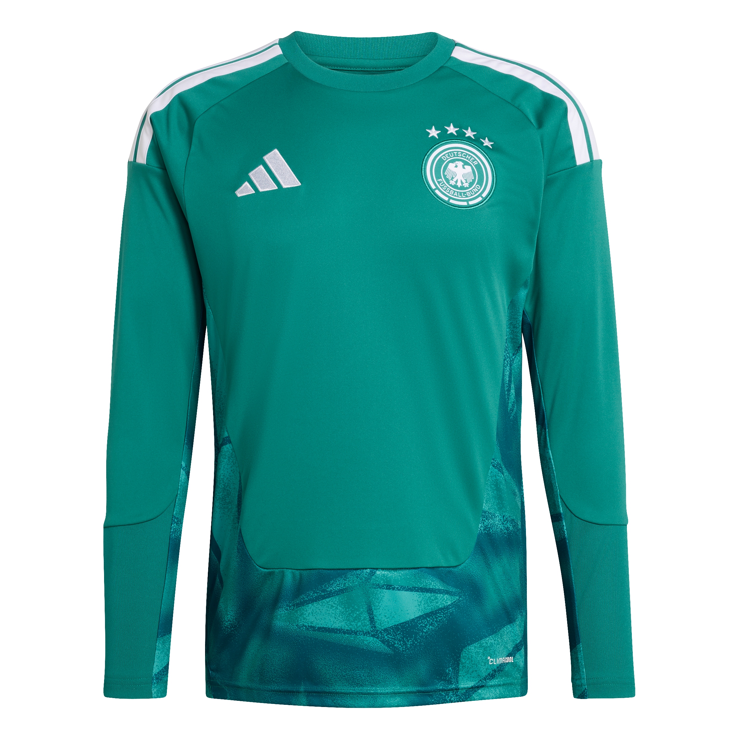 ADIDAS PERFORMANCE Jersey 'DFB H GK' in Green: front