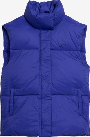 4F Sportbodywarmer in Blauw: voorkant