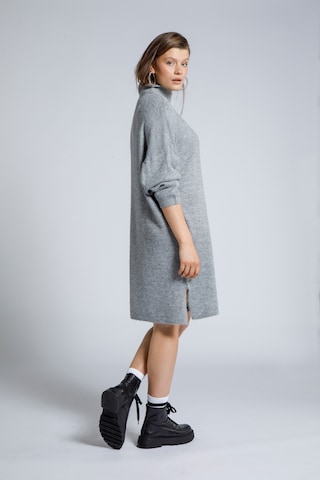 Studio Untold Kleid in Grau