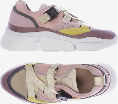 Chloé Sneaker in 35 in mischfarben, Produktansicht