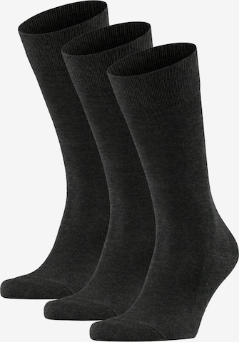 FALKE Socks in Grey: front