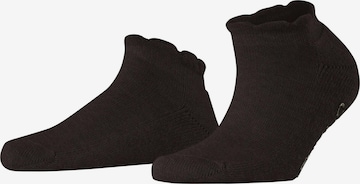FALKE Füßlinge 'Soft Elegance' in Braun: Vorderseite