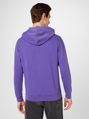 REPLAY Sweatshirt in Purple