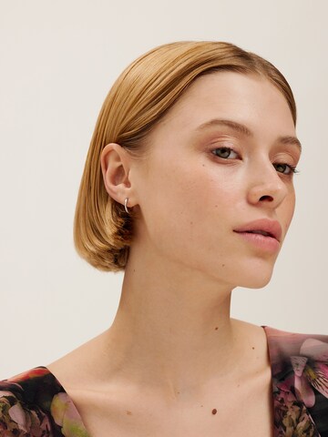 sidabrinė Ted Baker Auskarai: priekis