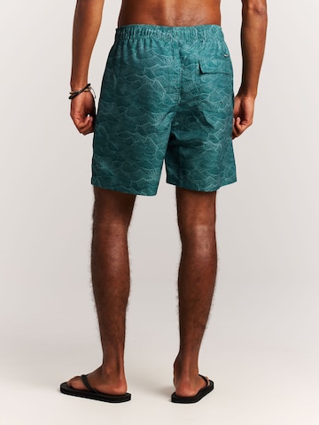 PROTEST Swimming shorts 'PRTAcorn' in Green