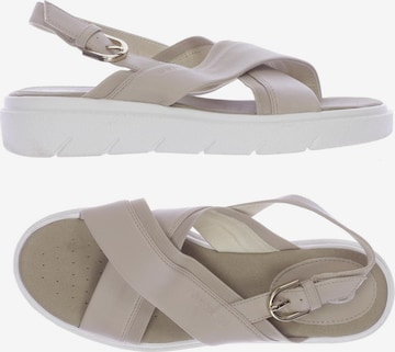 GEOX Sandalen 39 in Beige: predná strana