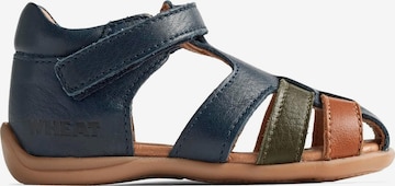 Sandales 'Robbie' WHEAT en bleu : devant