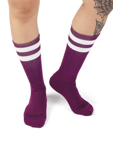American Socks Socks 'Plum' in Purple