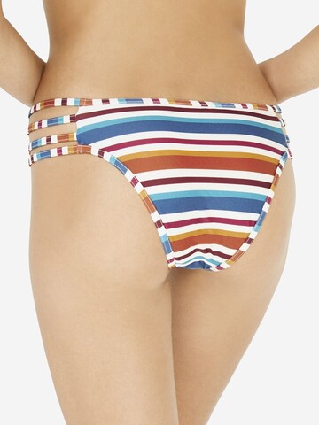 Slip bikini 'Bikinihosen' di Penti in colori misti