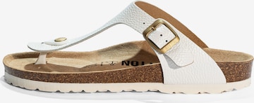 balta Bayton Šlepetės per pirštą 'Mercure': priekis