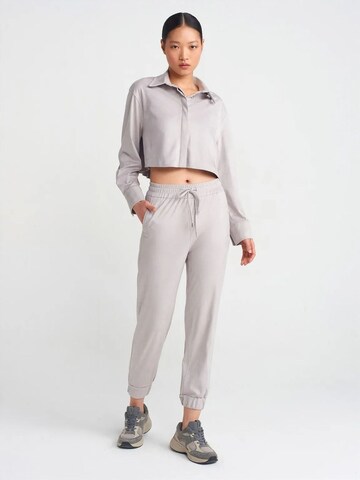 Effilé Pantalon Dilvin en gris : devant