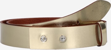 VANZETTIRemen - zlatna boja: prednji dio