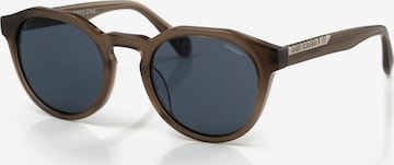 Superdry Eyewear Sonnenbrille in Grau: Vorderseite