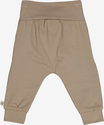 Müsli by GREEN COTTON Regular Broek '' in Bruin