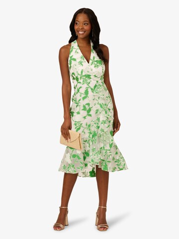 Adrianna Papell Cocktail Kleid 'Organza Jacquard Dress' in Grün