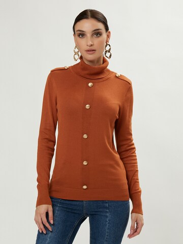 Influencer Sweater in Brown: front