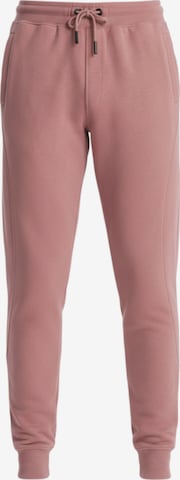 Ombre Broek in Roze: voorkant