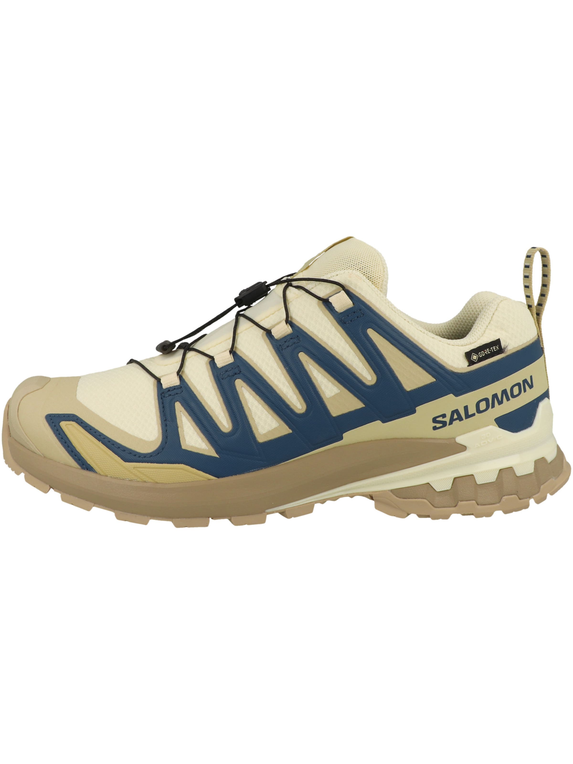 SALOMON Laufschuh 'XA Pro 3D V9' in Beige