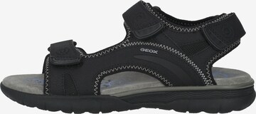 GEOX Sandale 'Spherica' in Schwarz