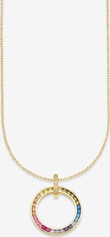 BRUNO BANANI Necklace in Gold