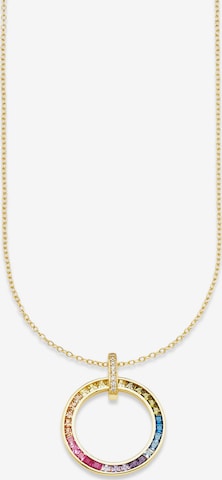 BRUNO BANANI Kette in Gold