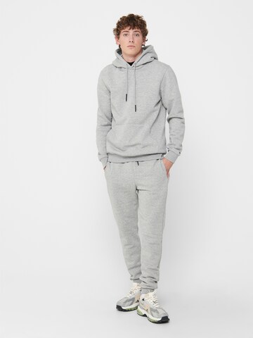 Only & Sons Regular Fit Sweatshirt 'Ceres' in Grau