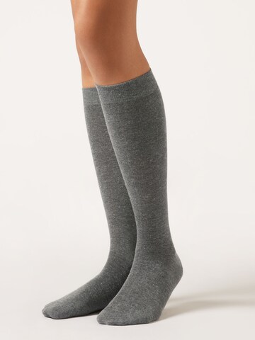 CALZEDONIA Kniestrümpfe in Schwarz: Vorderseite