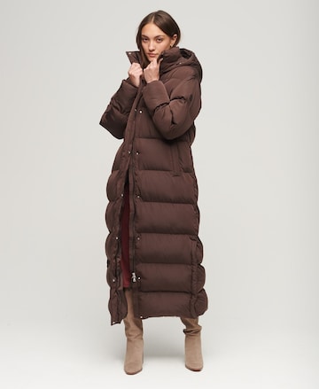 Superdry Winter Coat in Brown: front