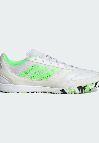 Chaussure de foot 'Top Sala Competition 2' ADIDAS PERFORMANCE en blanc