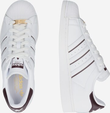 ADIDAS ORIGINALS Sneakers 'Superstar' in White