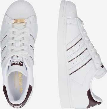 ADIDAS ORIGINALS - Sapatilhas baixas 'Superstar' em branco