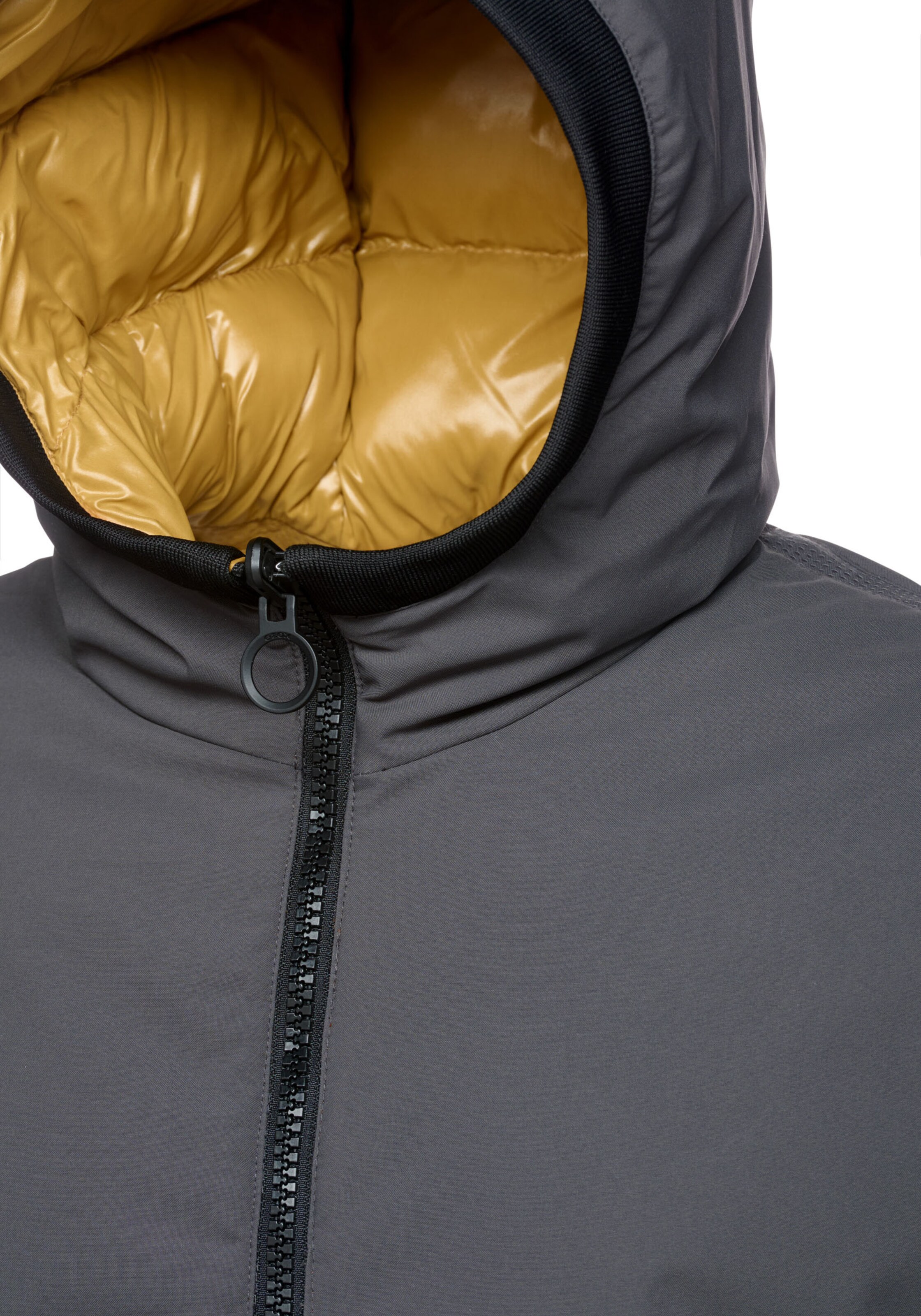 GEOX Winter Jacket in Grey