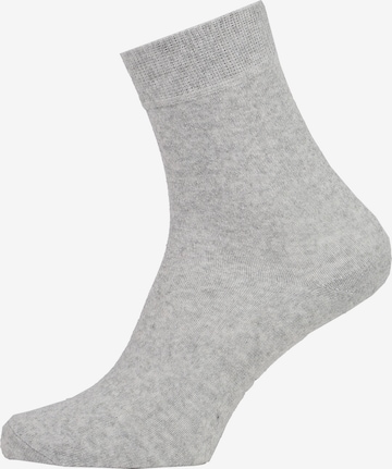 Albert Schäfer Socks in Grey