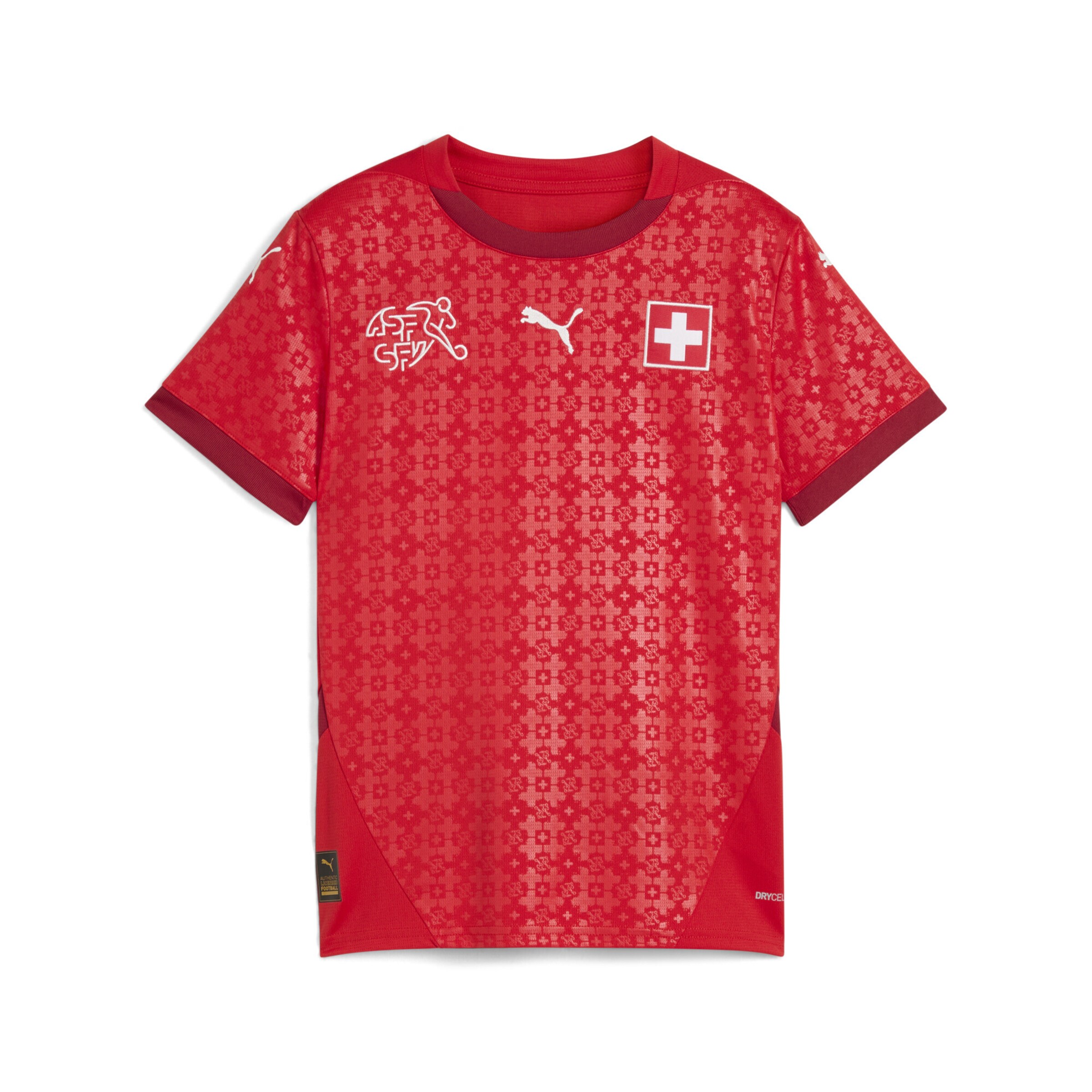 PUMA Performance shirt 'Schweiz Team 2025' in Red: front