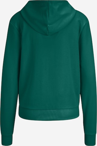 FILA Sweatshirt 'BRUCHSAL' i grön