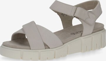 CAPRICE Sandals in Beige: front