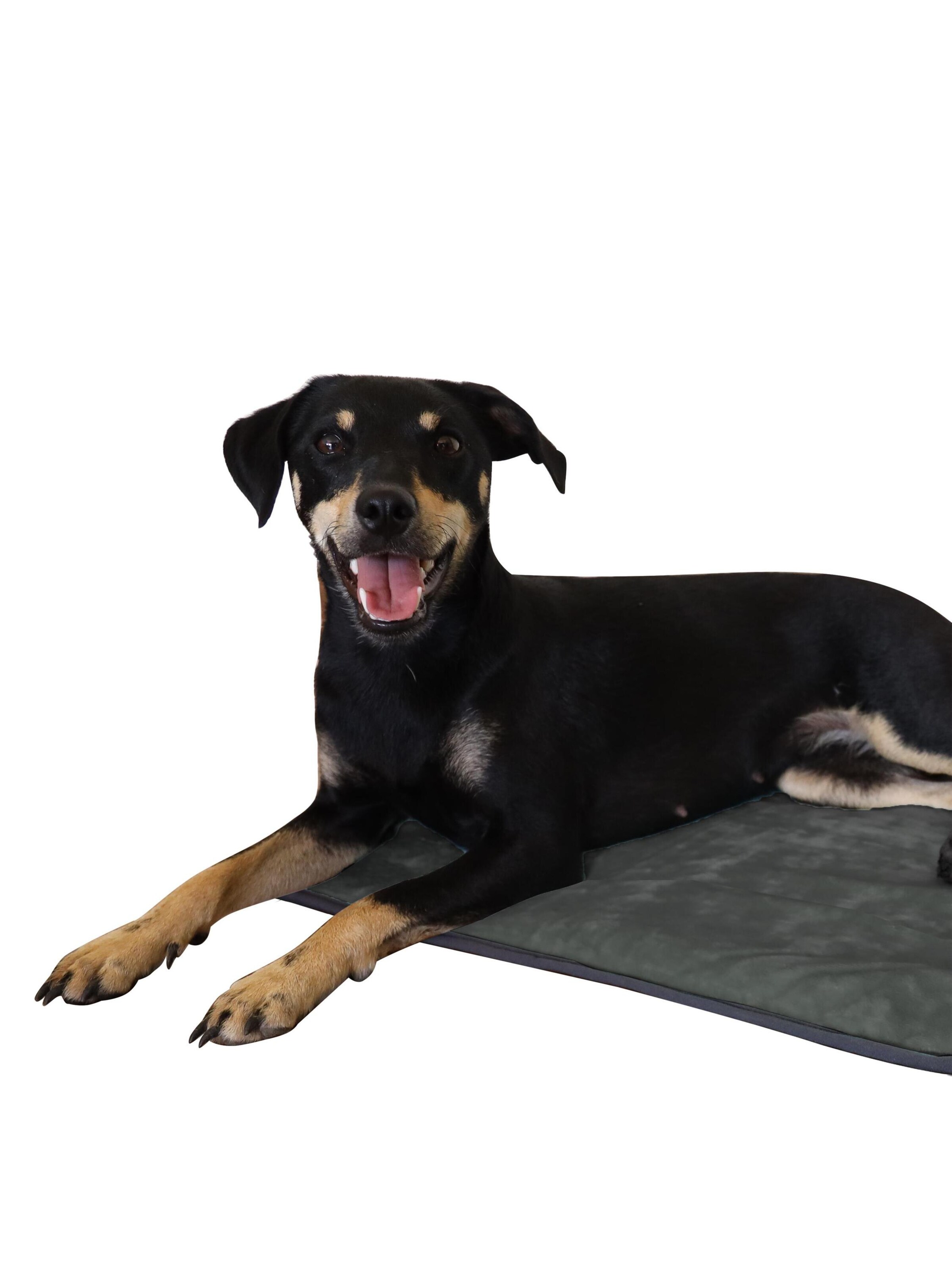 Aspero Hundedecke 'Lund' in Grau