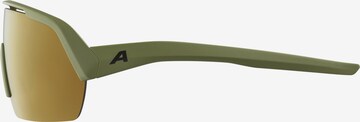 Alpina Sports Glasses 'Turbo HR' in Green