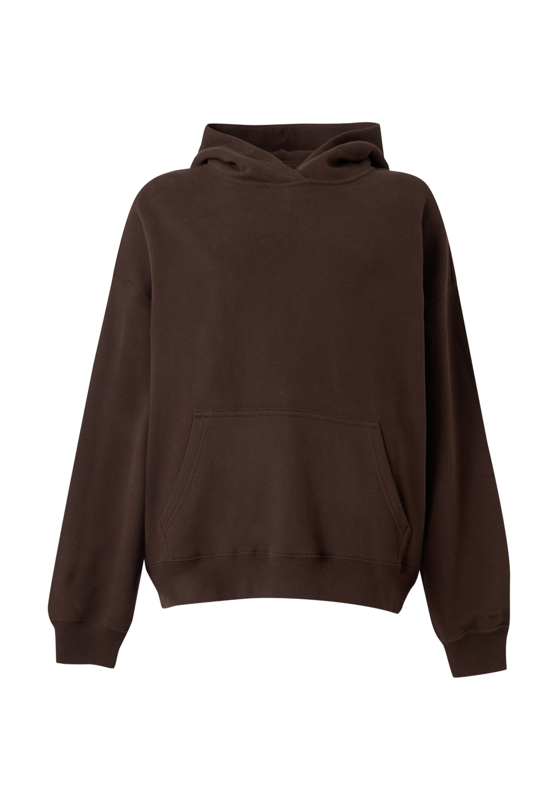 HOLLISTER Sweatshirt in Brown: front