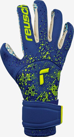 REUSCH Athletic Gloves 'Pure Contact Fusion' in Blue