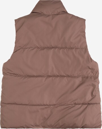 Abercrombie & Fitch Bodywarmer in Bruin