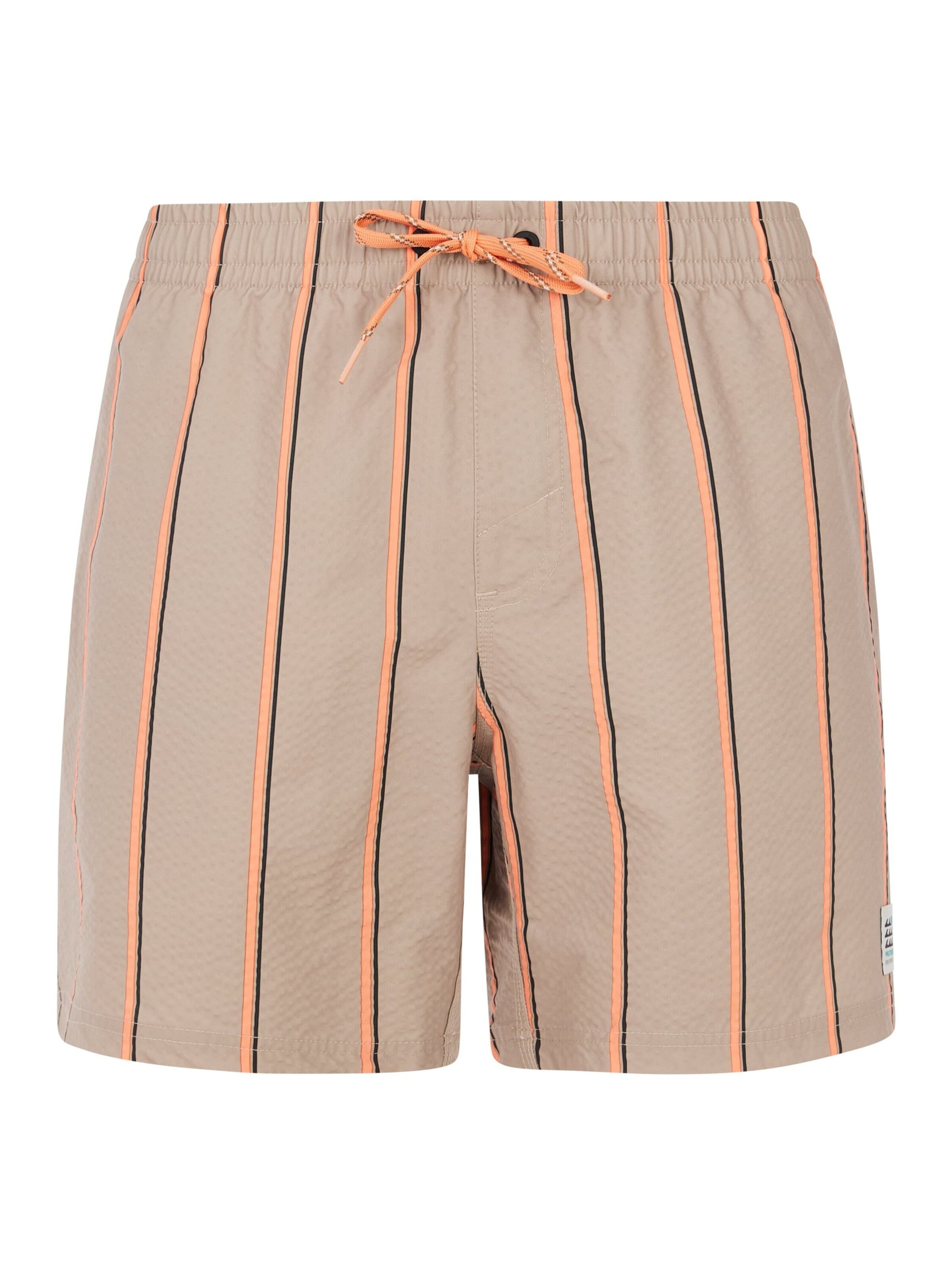 PROTEST Swimming shorts 'PRTGonz' in L/Regular in Brown, Item view