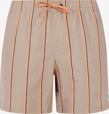 PROTEST Swimming shorts 'PRTGonz' in Brown: front