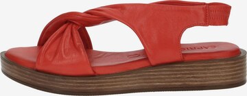 Sandales à lanières CAPRICE en rouge