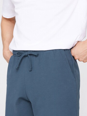 Tezenis Regular Shorts in Blau