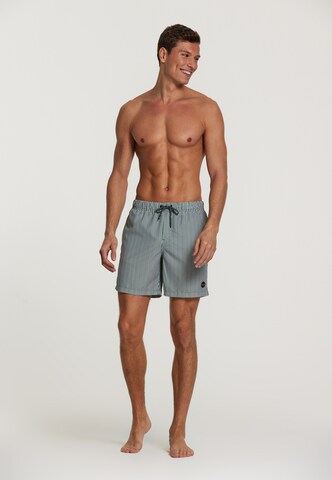 Shorts de bain Shiwi en vert