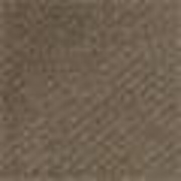 TIMBERLAND Sweatshirt in Brown