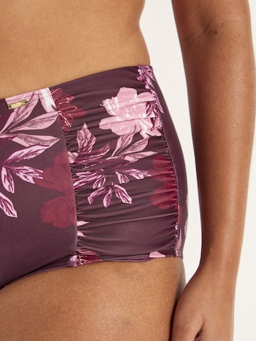 Cellbes of Sweden Bikinihose in Lila